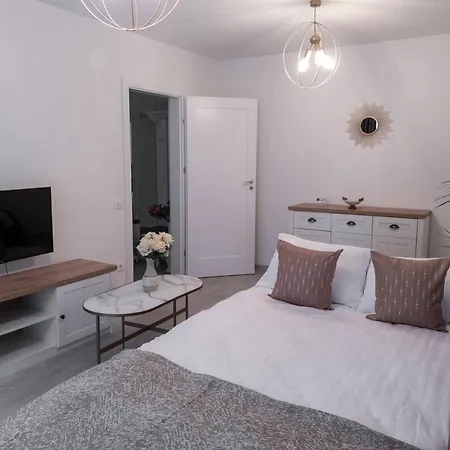 Apartment Plaza Brasov